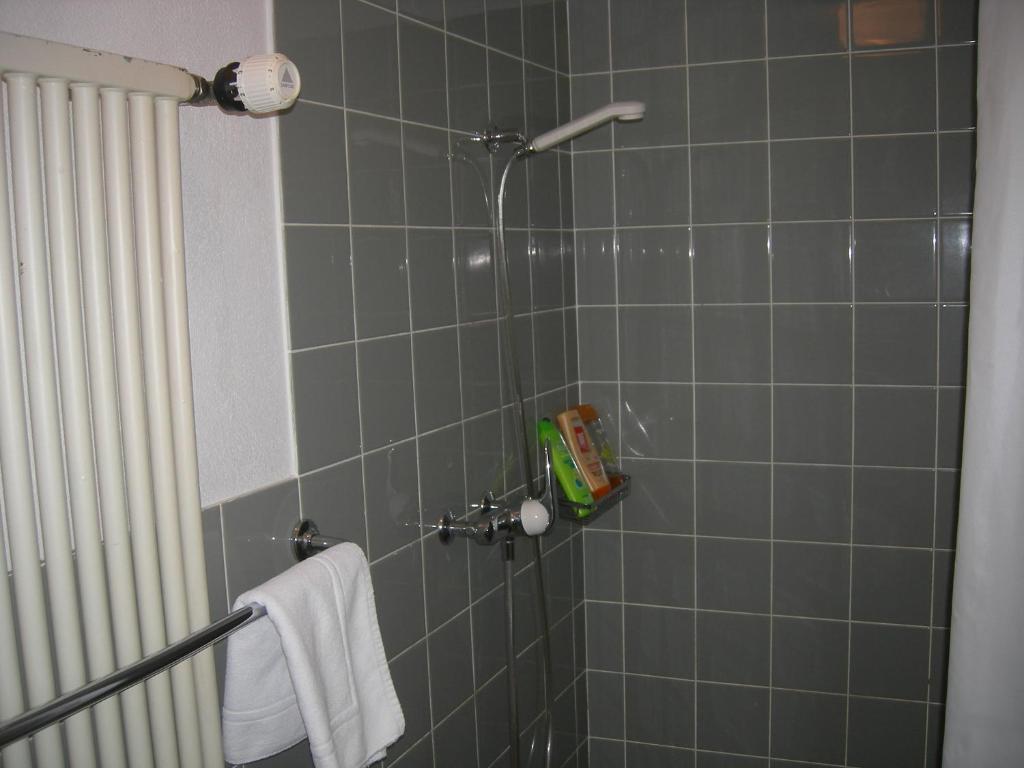 Sporthotel Clavadel Bilik gambar